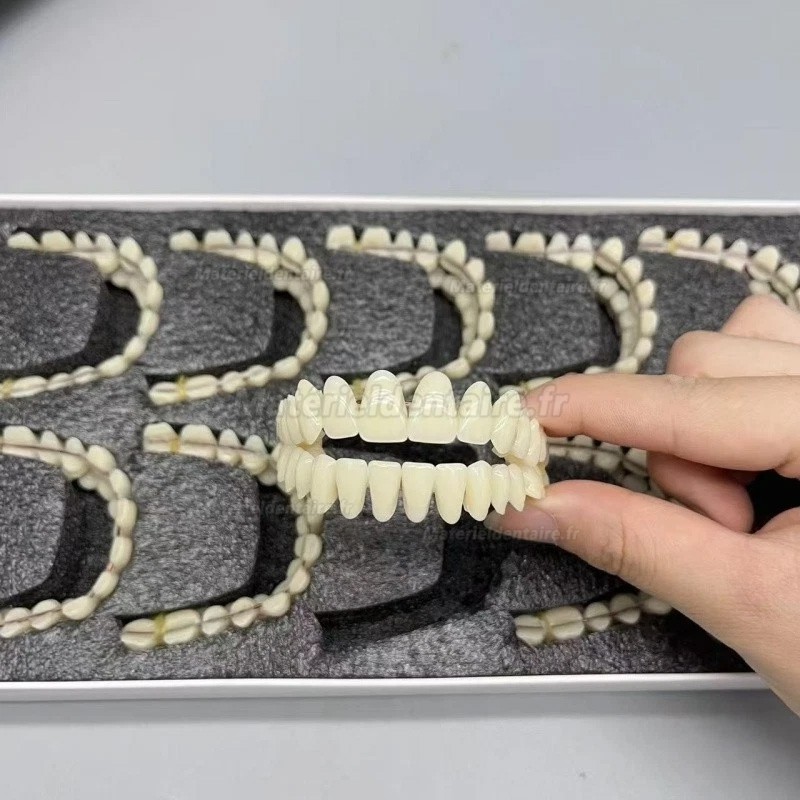 Prothèses dentaires en résine CAIYU (flexibles, bilatérales et symétriques) A1/A2/A3/A3.5/A4